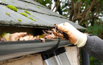 gutter cleaning Hawes Green, Norfolk