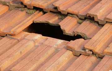 roof repair Hawes Green, Norfolk