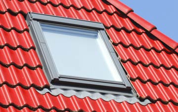 roof windows Hawes Green, Norfolk
